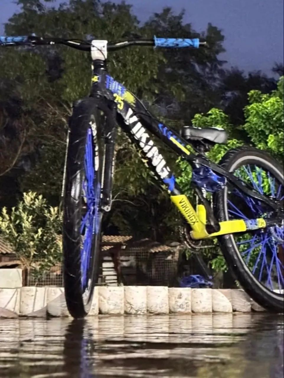 Bicicleta vikingx