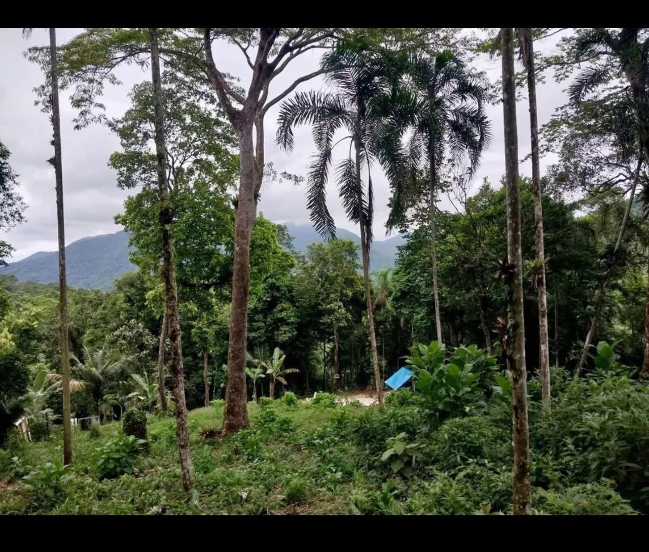 Terreno 450m² em Ubatuba  - Foto 3