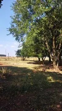 Chácara com casa pronta em Sidrolândia - Foto 4
