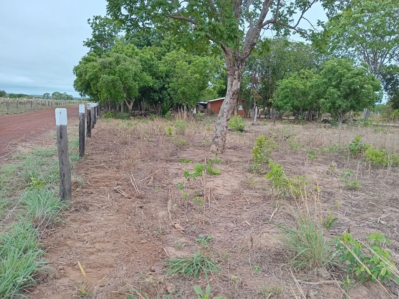 Chácara nicolau a venda  - Foto 2