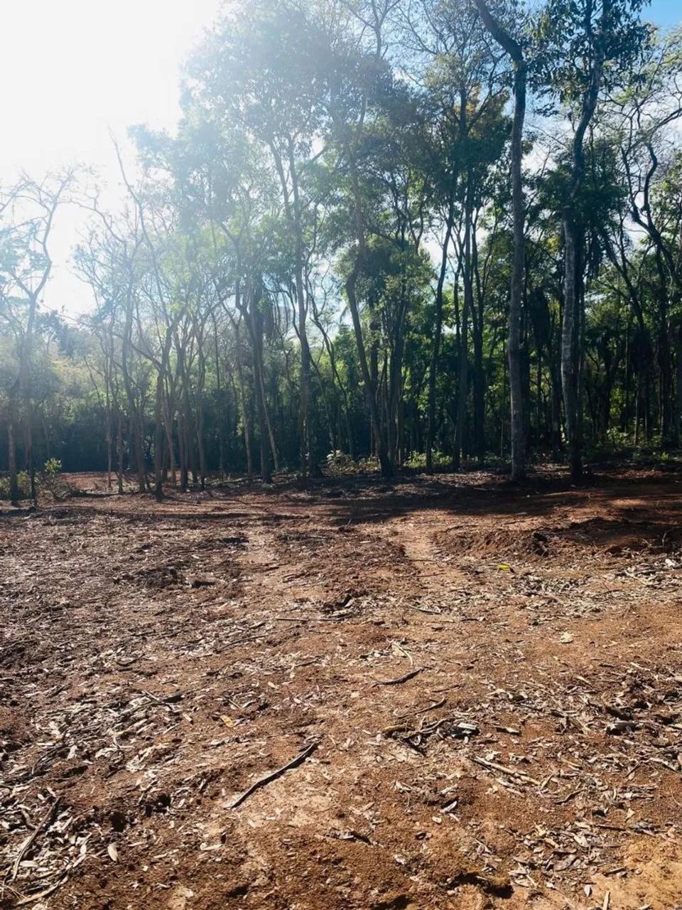 Terreno rural de 5 mil metros  - Foto 5