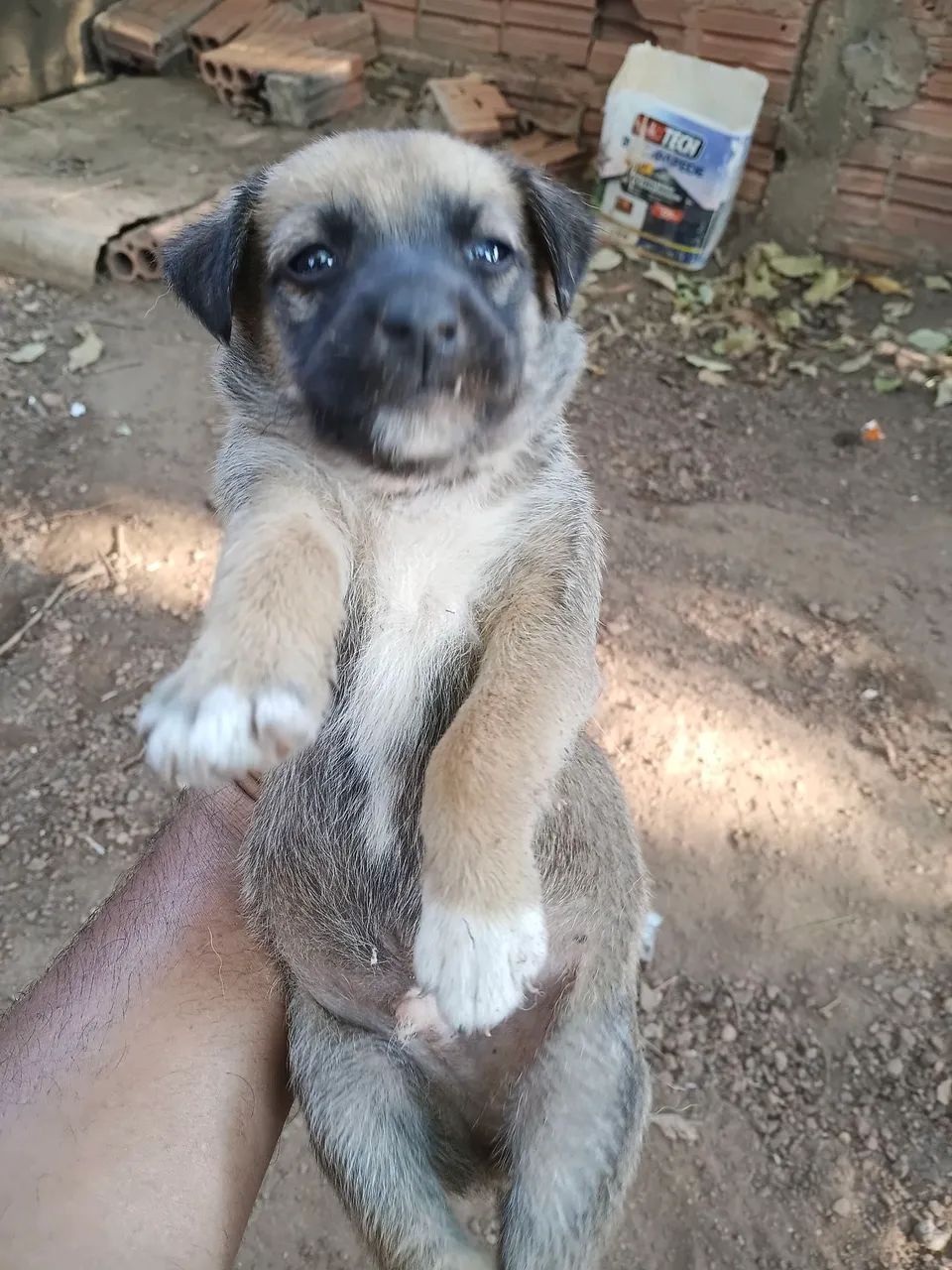 Doação responsável  - Foto 4