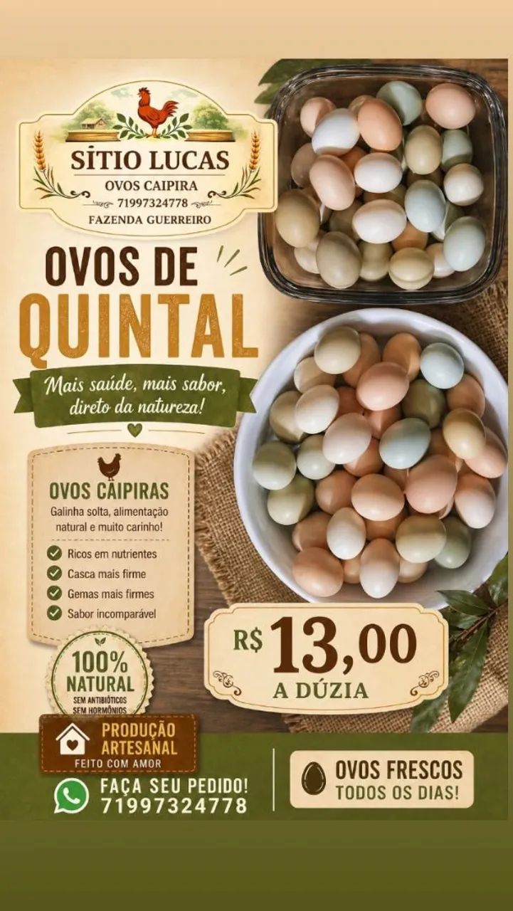 Ovos de galinha caipira - Foto 3