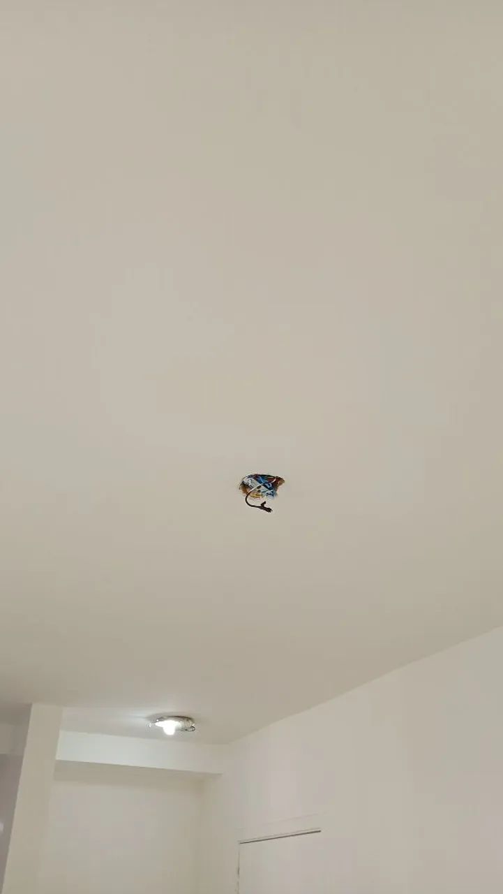 Manutenção e pinturas - Foto 5