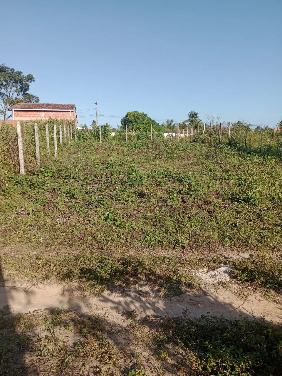 Terreno ótima localização  - Foto 3