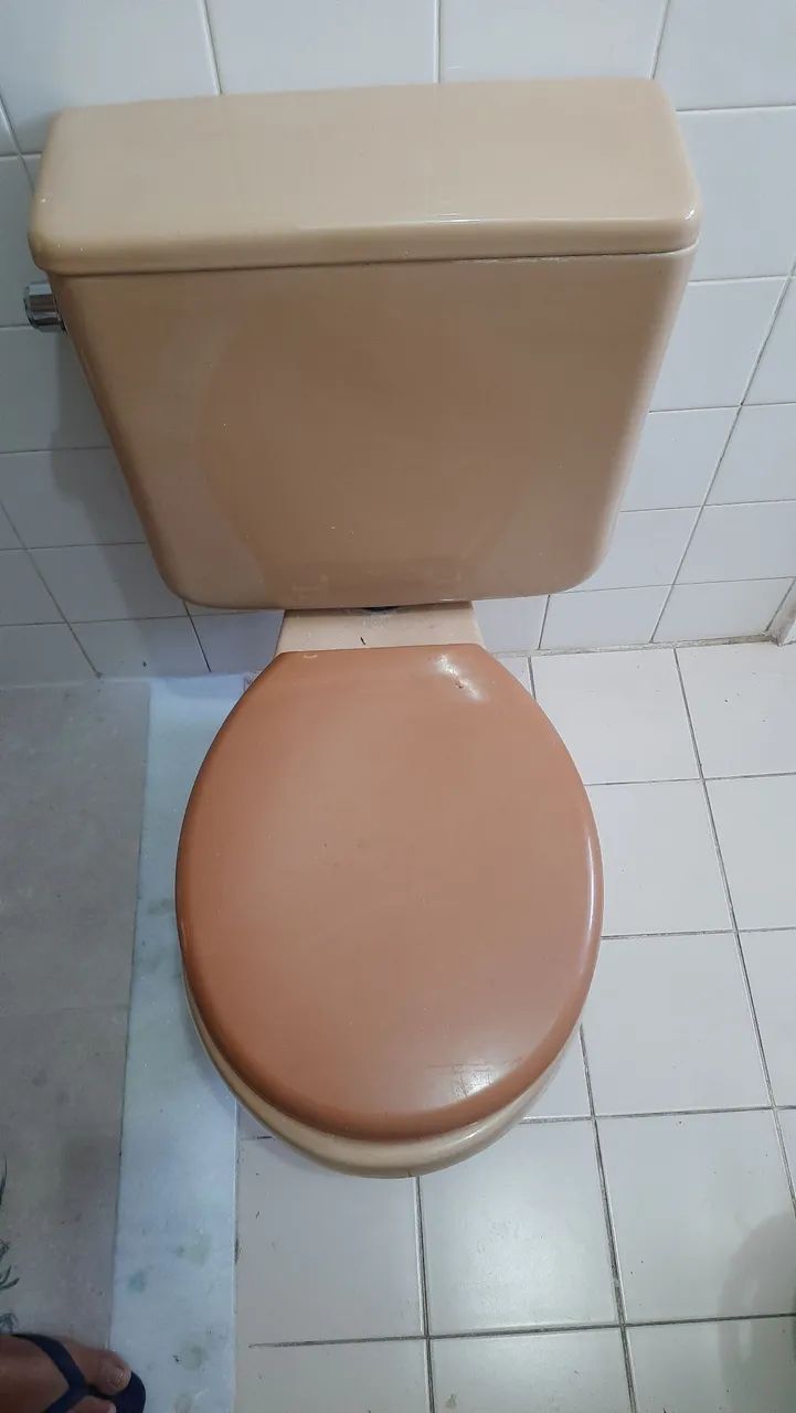 Vaso sanitário acoplado 