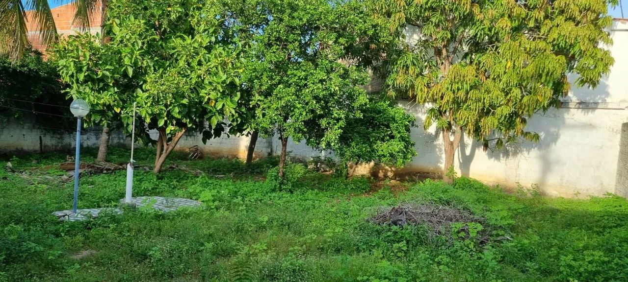 Casa com terreno grande - Foto 4
