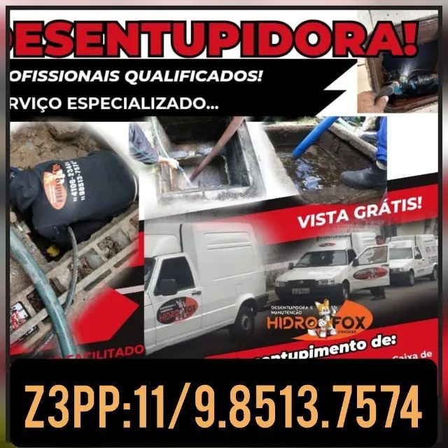 Desentupidora de Vaso 