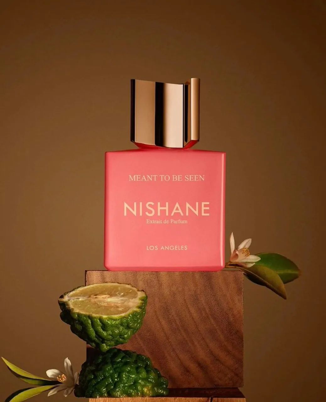 Perfume Nishane Meant To Be Seen 100 ml
