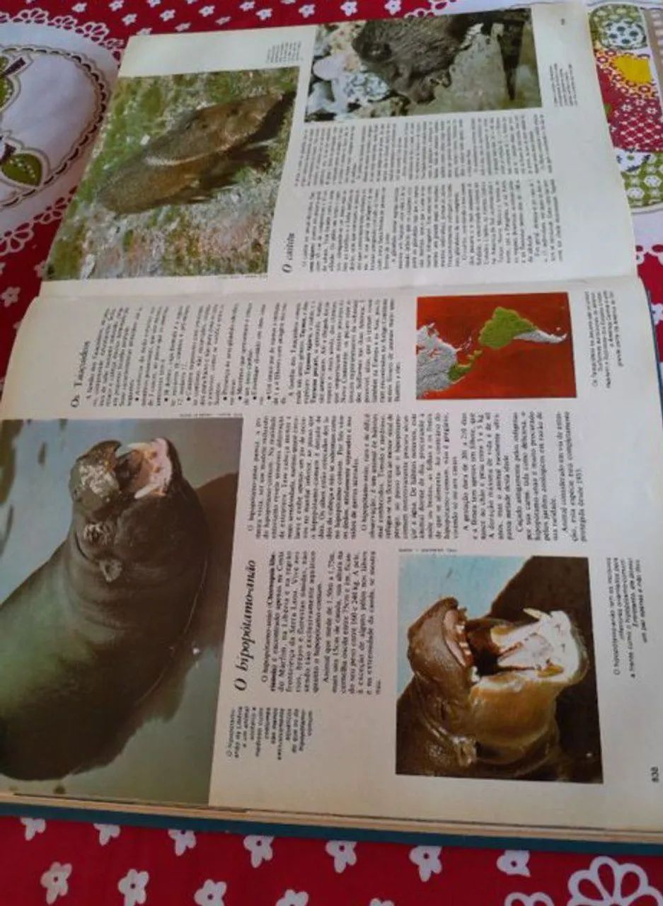 livro grande capa dura ||| volume os animais - Foto 3