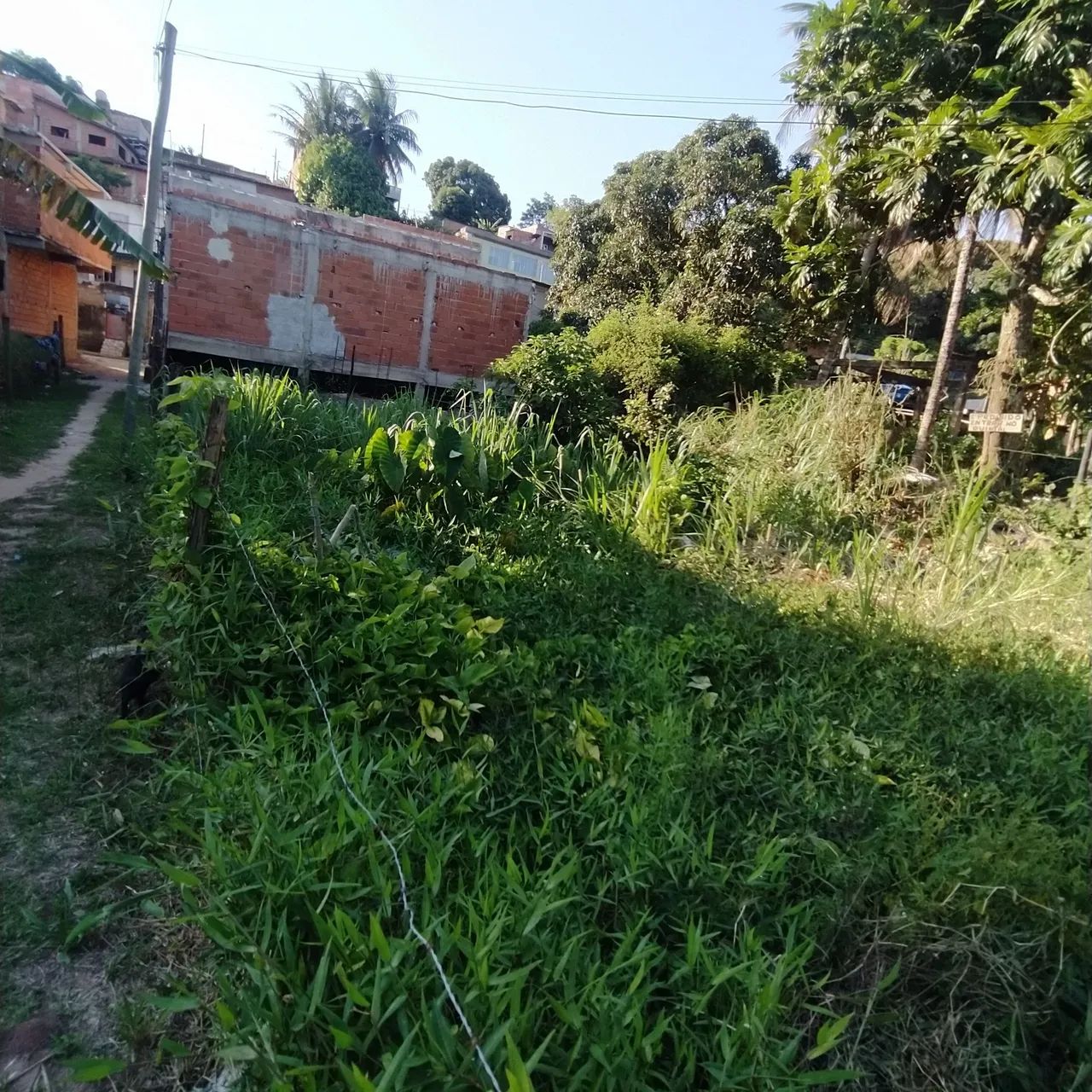 Foto - Serra - Eldorado