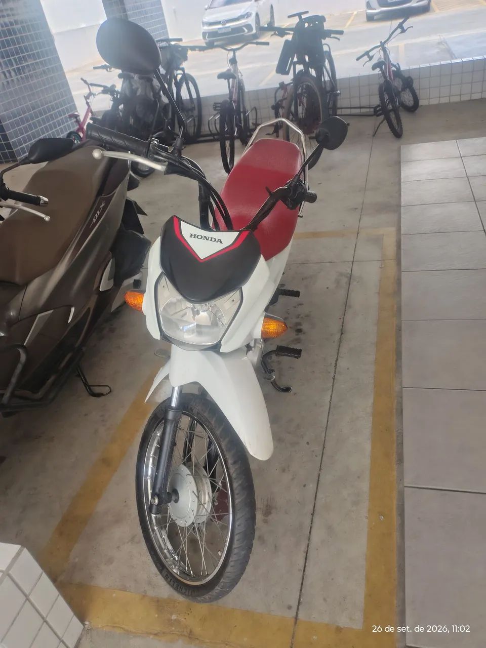 Alugo POP 2025