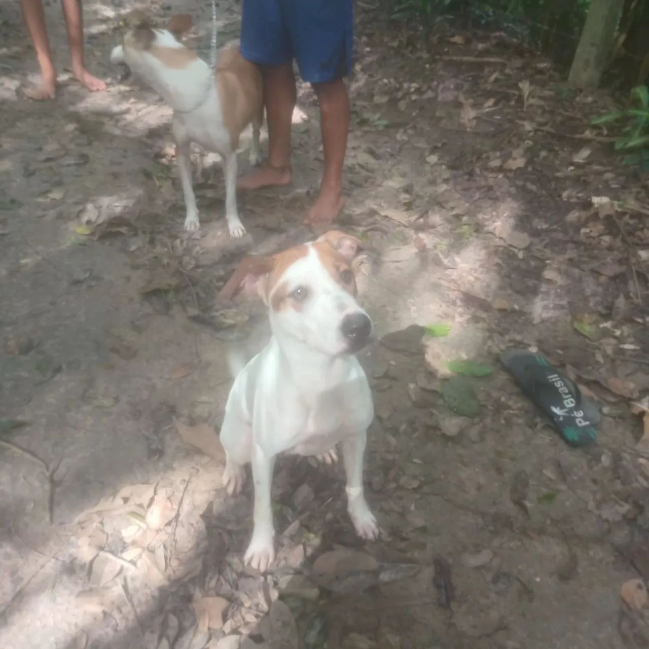 Doação responsável 