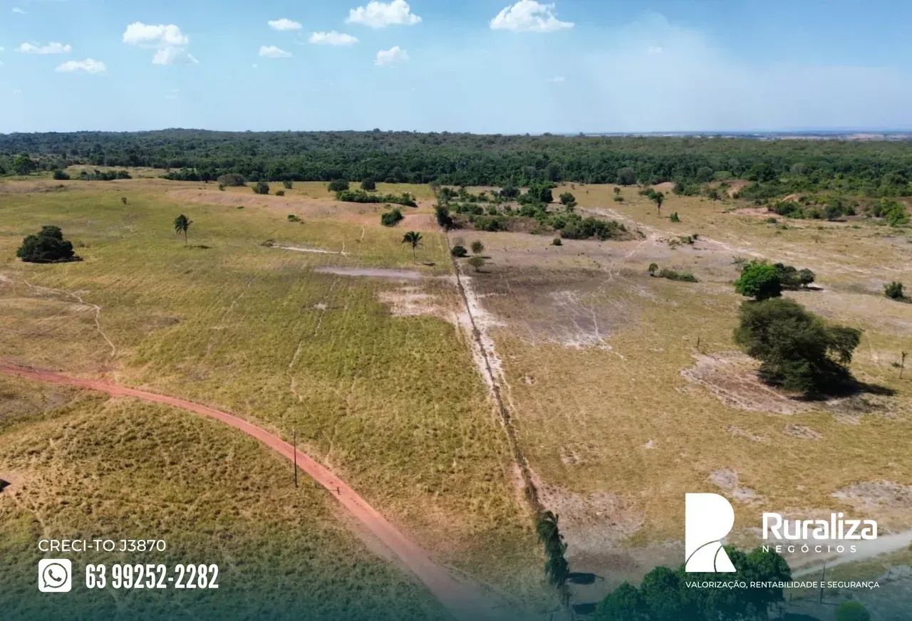 739 HA PARA LAVOURA | EXCELENTE CUSTO-BENEFÍCIO - Foto 4