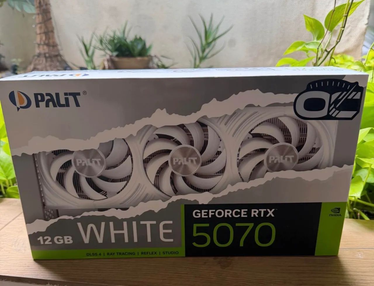 Rtx 5070 palit branca