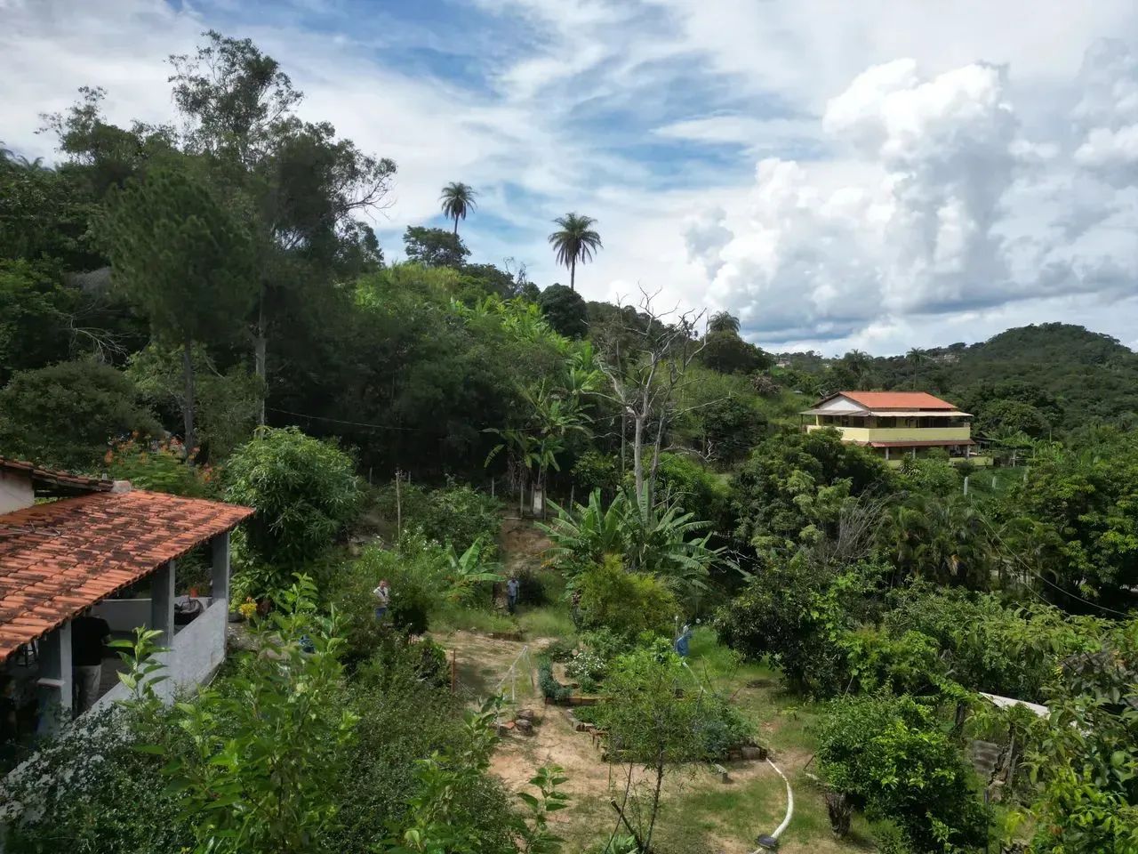 Oportunidade em Ravena: O Refúgio de Vó com Pomar Completo a 25 km de BH! - Foto 9