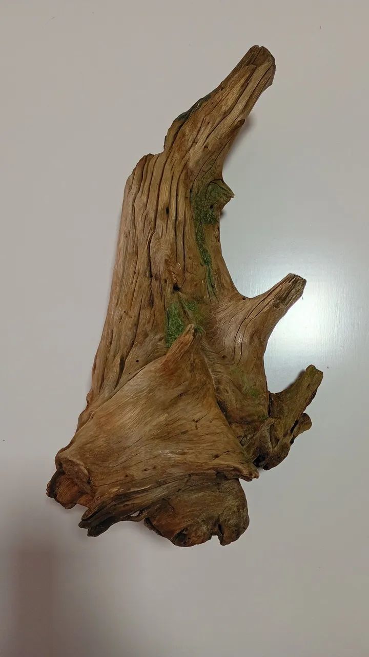 Tronco para Aquário 
