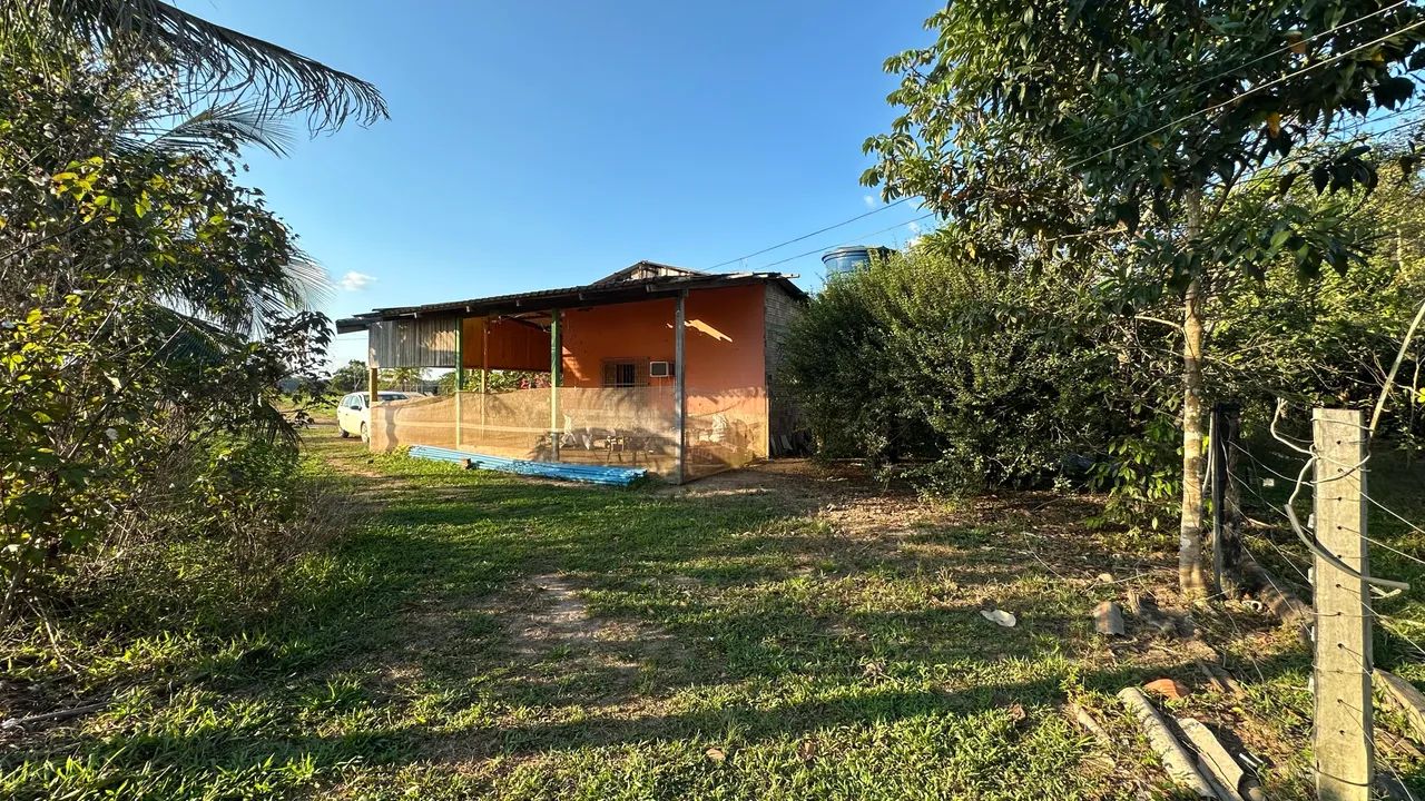 Vende- Chacara no Canutama ou linha Transpurus sentido Humaitá  - Foto 2