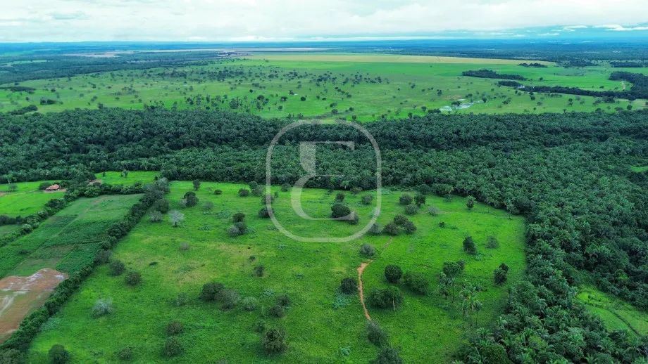 FAZENDA ARIZONA - Foto 4