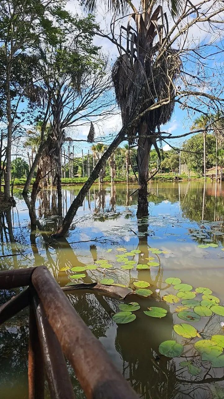 Foto - Goiânia - Setor Faiçalville