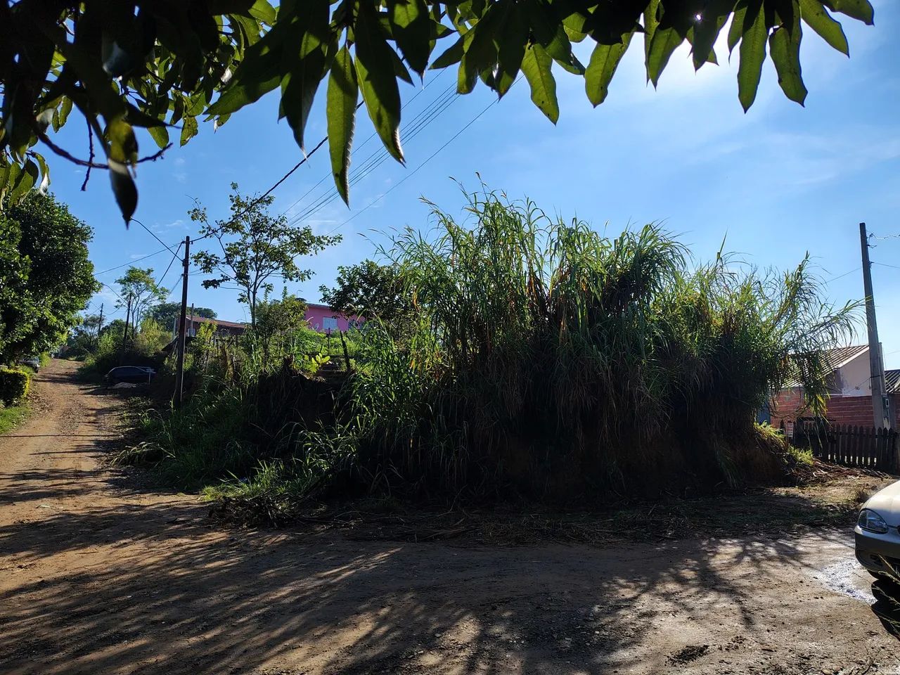Terreno Inteiro de Esquina - Foto 4