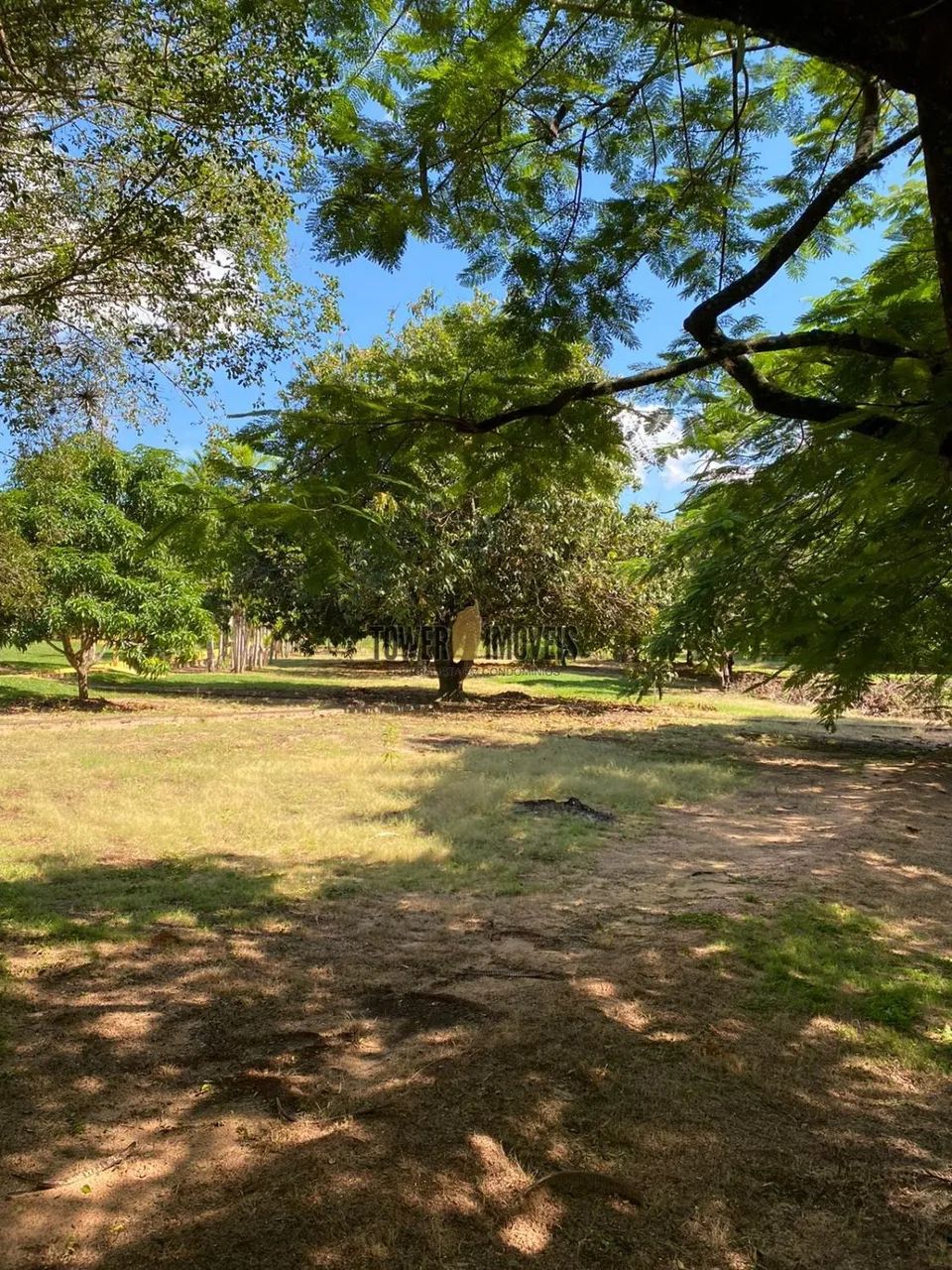 chácara - Tres Rios - Dois Córregos - Foto 4