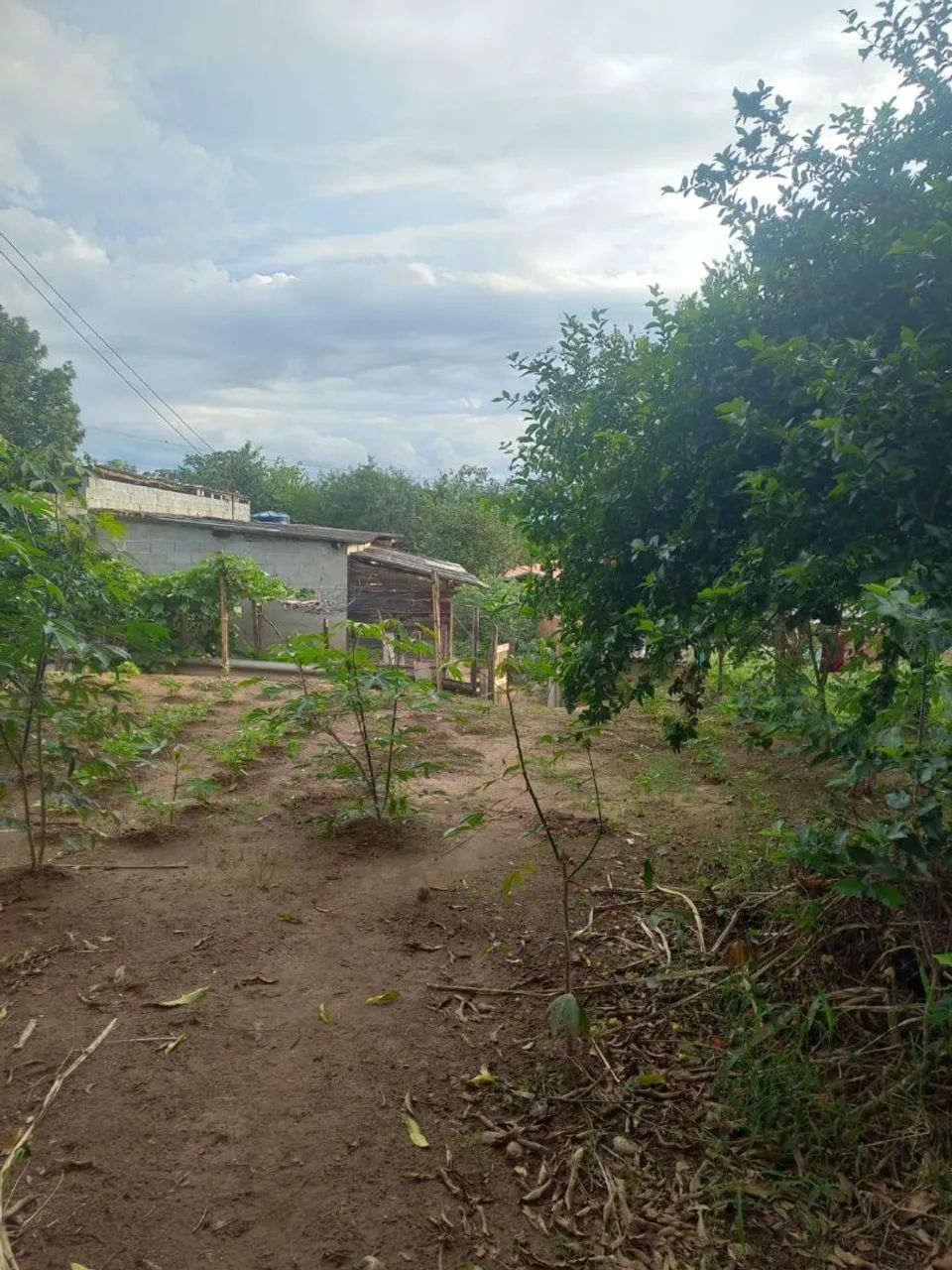 Foto - São Bernardo do Campo - Parque Botujuru