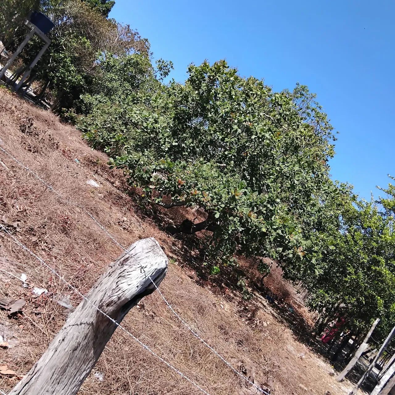 Vende-se Terreno - Foto 4