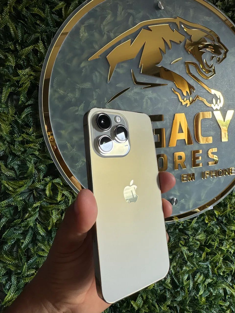 iPhone 13 Pro 