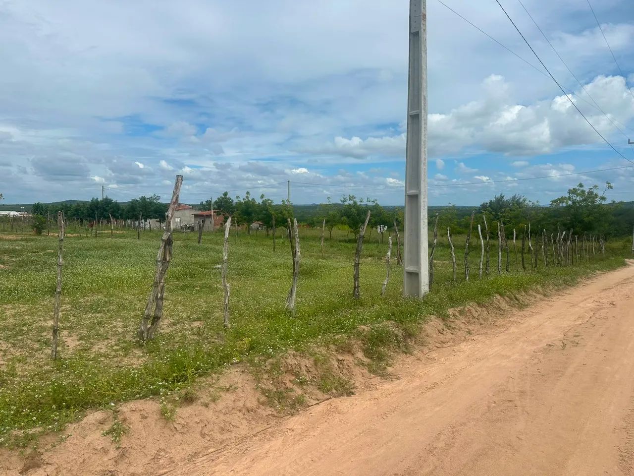 Sitio a venda  - Foto 5
