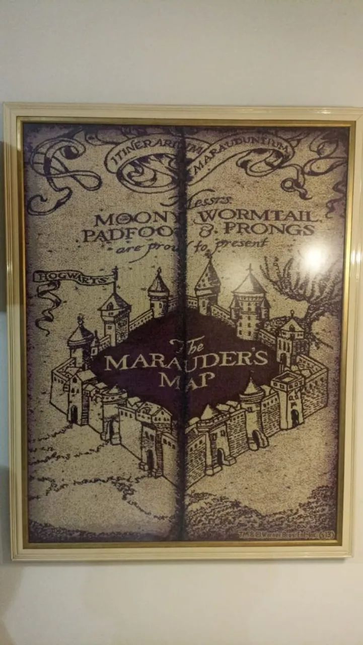Quadro do Harry Potter 