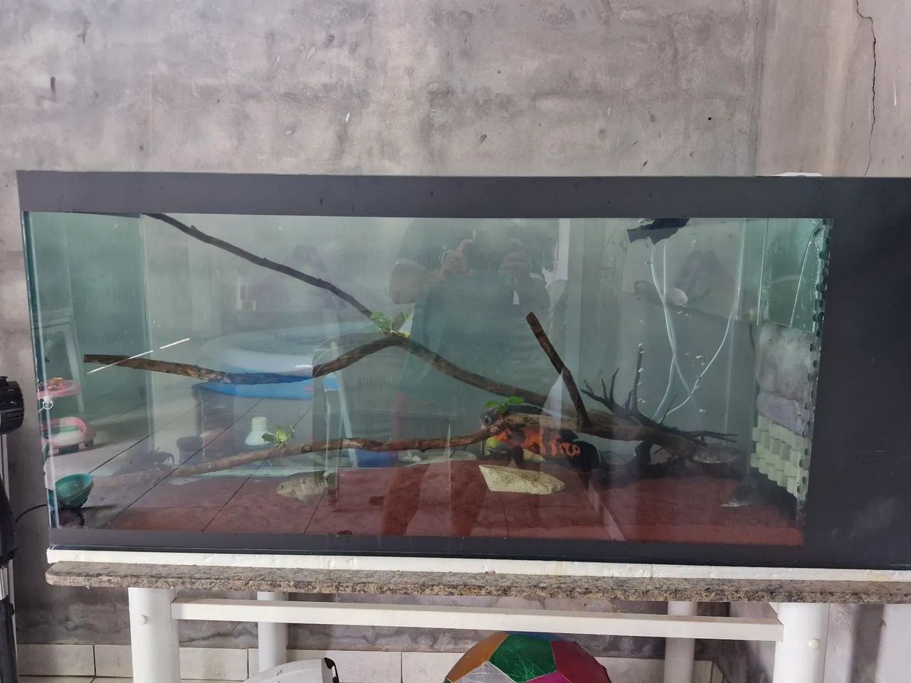 Aquário 420L 1400x500x600 sump lateral