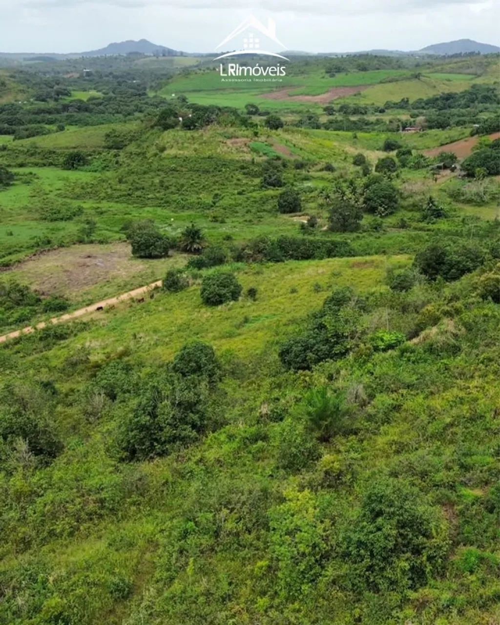 Sítio para Venda em Flexeiras, 2 dormitórios, 1 banheiro - Foto 3