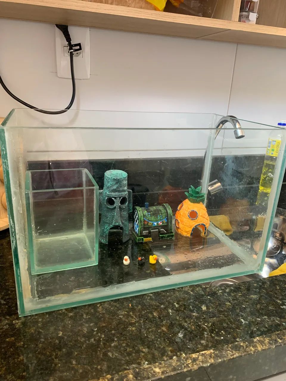 Aquário  - Foto 2
