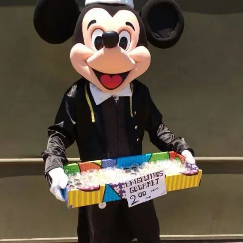 FANTASIA  MICKEY E MINNIE COSPLAY