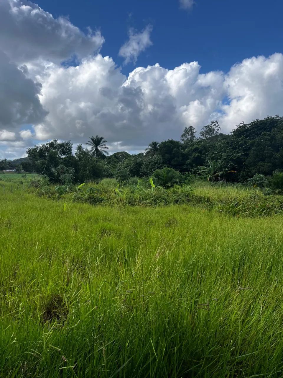 LOTE PARA SÍTIO EM SÃO LUÍS DO QUITUNDE 