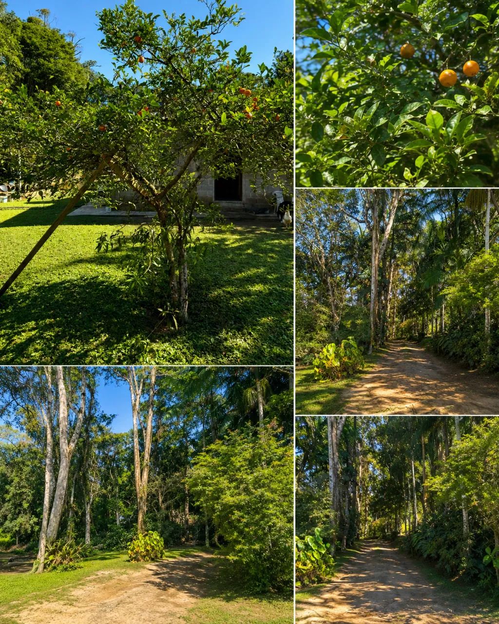 Sítio em Embu Guaçu- Parque Nova Cipó - Foto 5