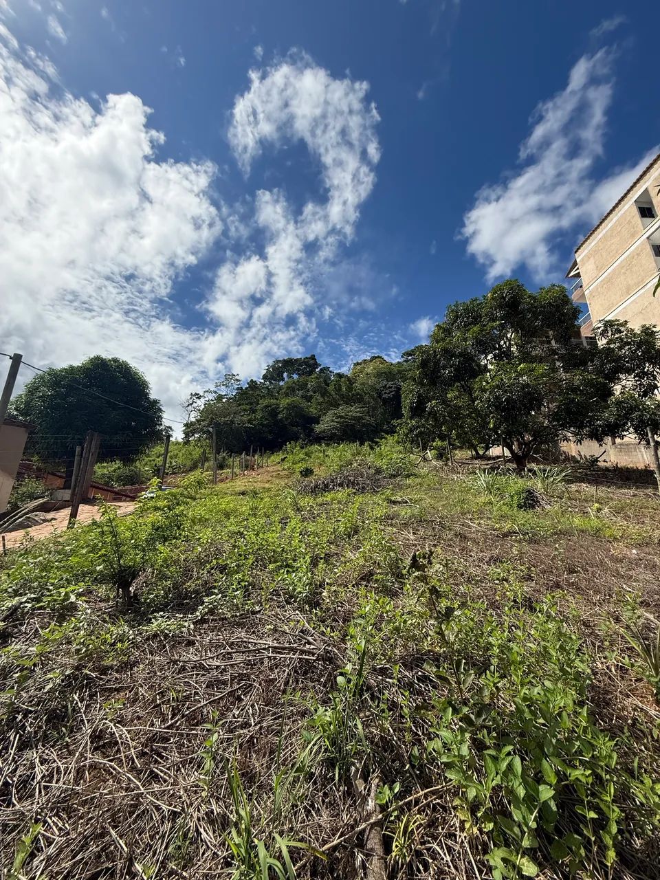 Lote vazio bairro Grama - Afonso Cláudio  - Foto 3
