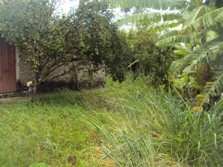 Vendo lote no Bairro Caiçara - Foto 3