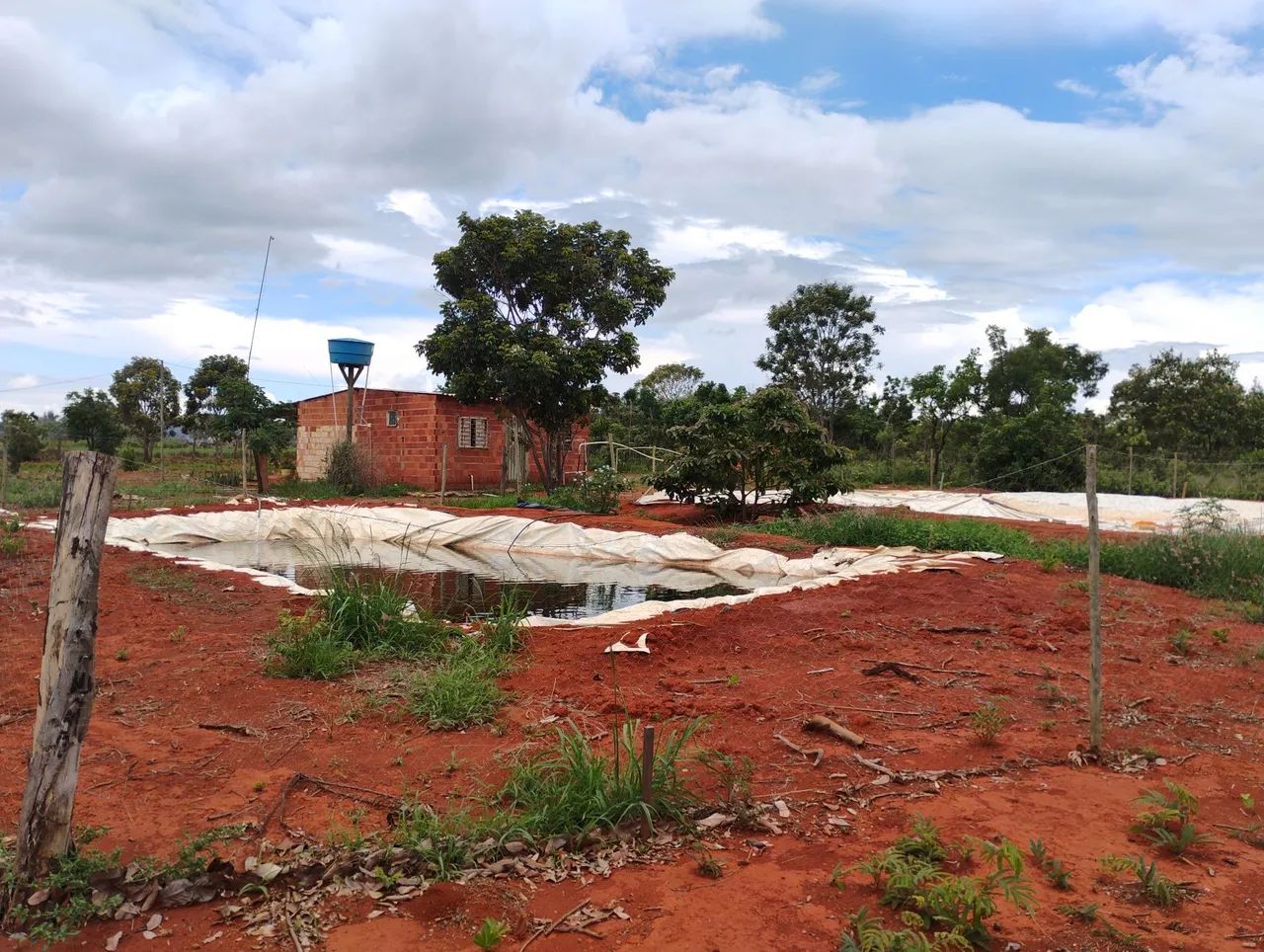 Venda de chácara  - Foto 3