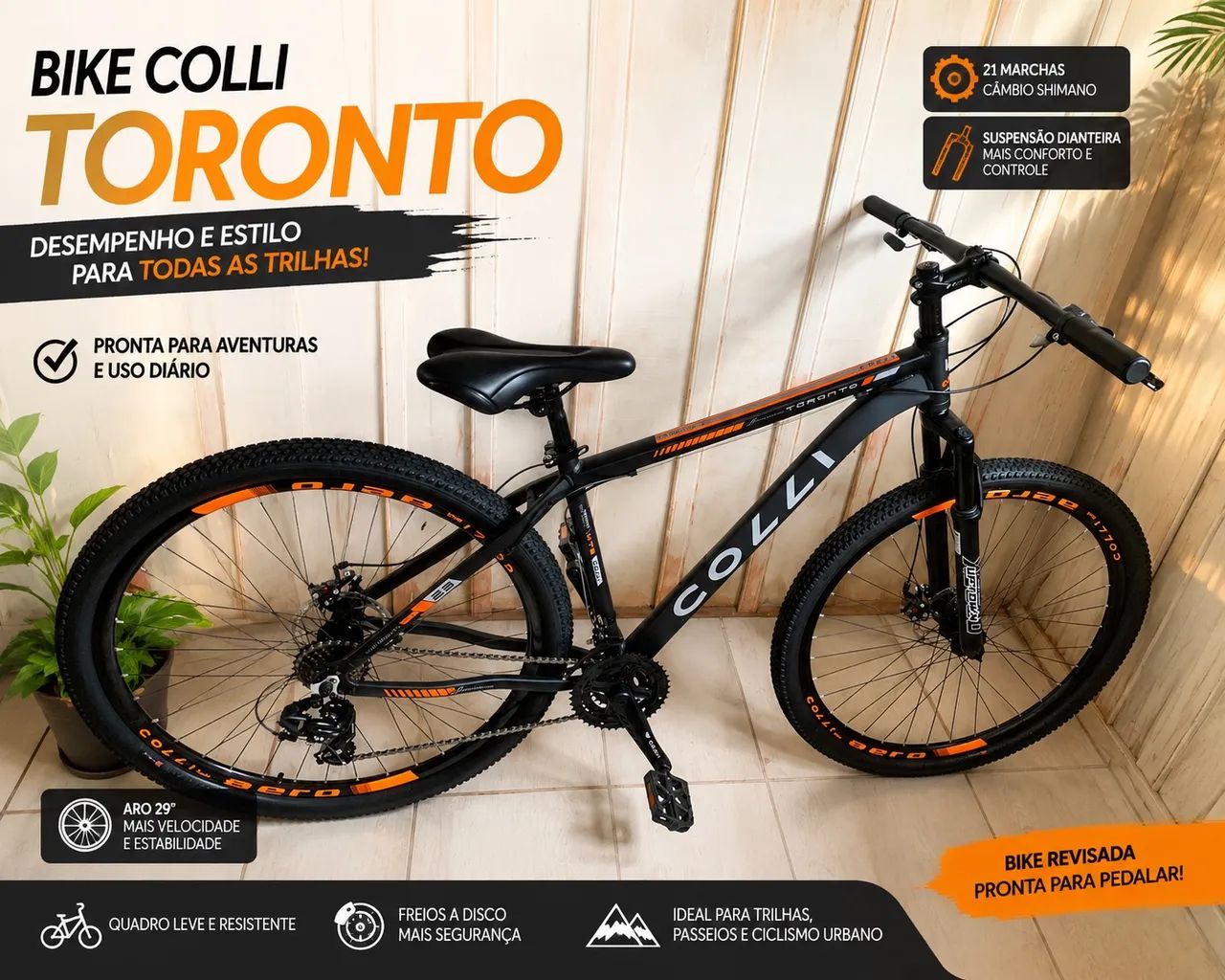Bicicleta aro 29 alumínio 