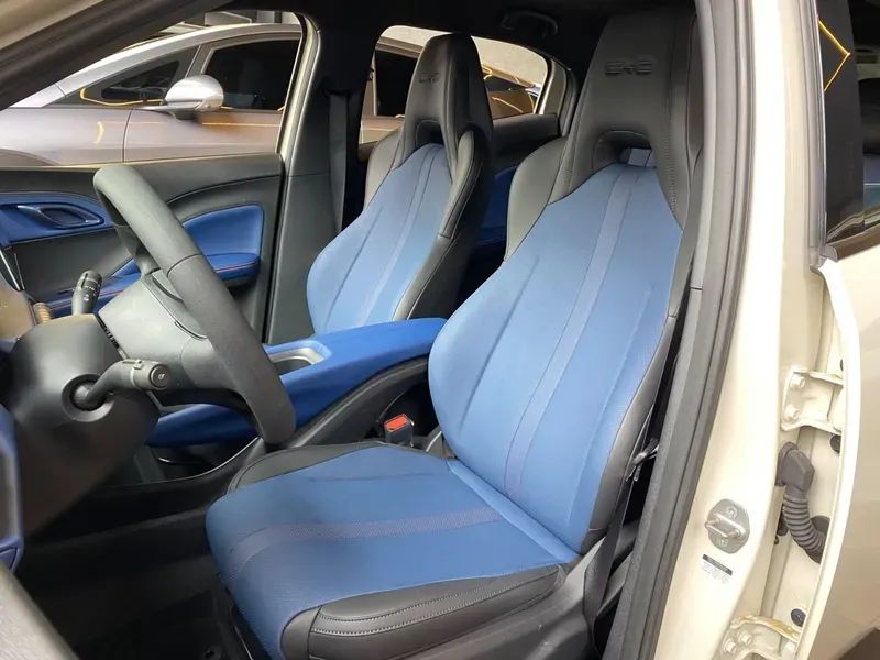 BYD Dolphin Mini GL, foto 8 de 20