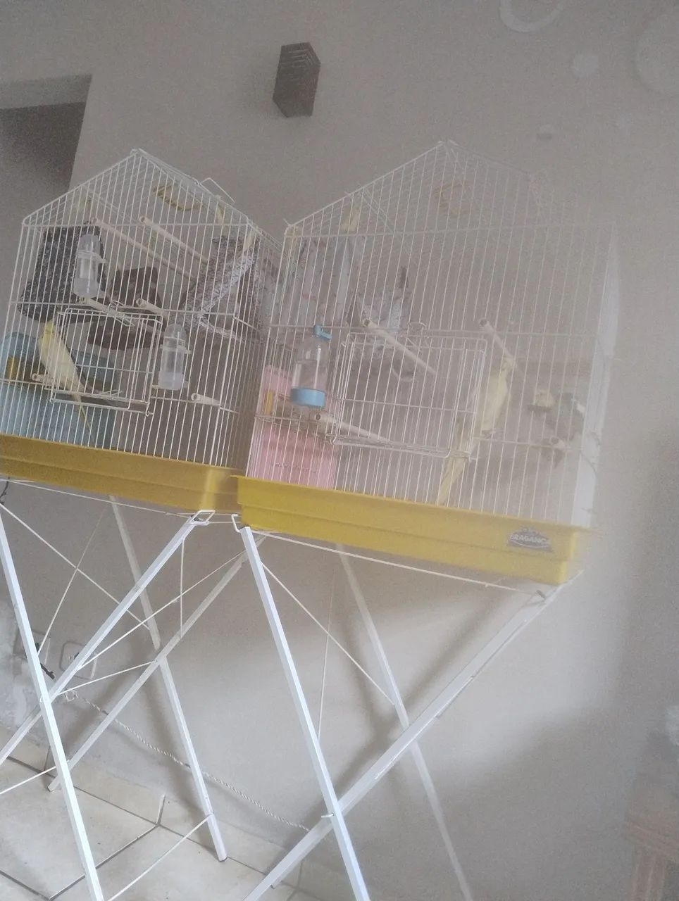 2 gaiolas grandes - Foto 2