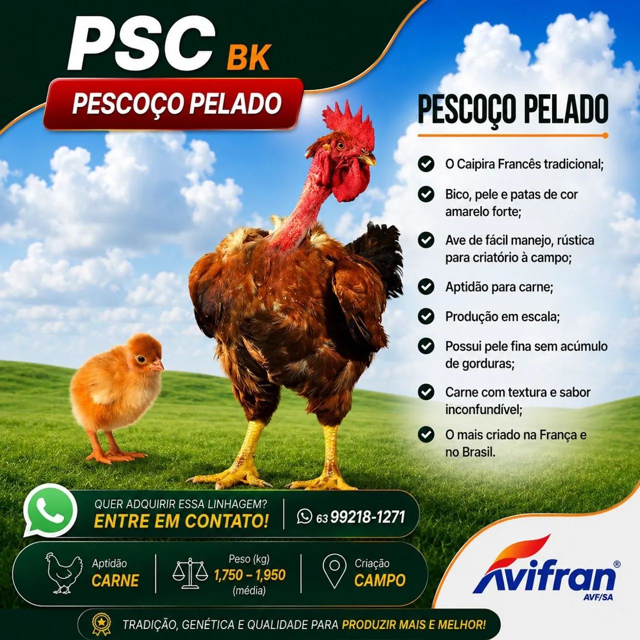 Caixa de pintinhos 100 unidades. - Foto 5