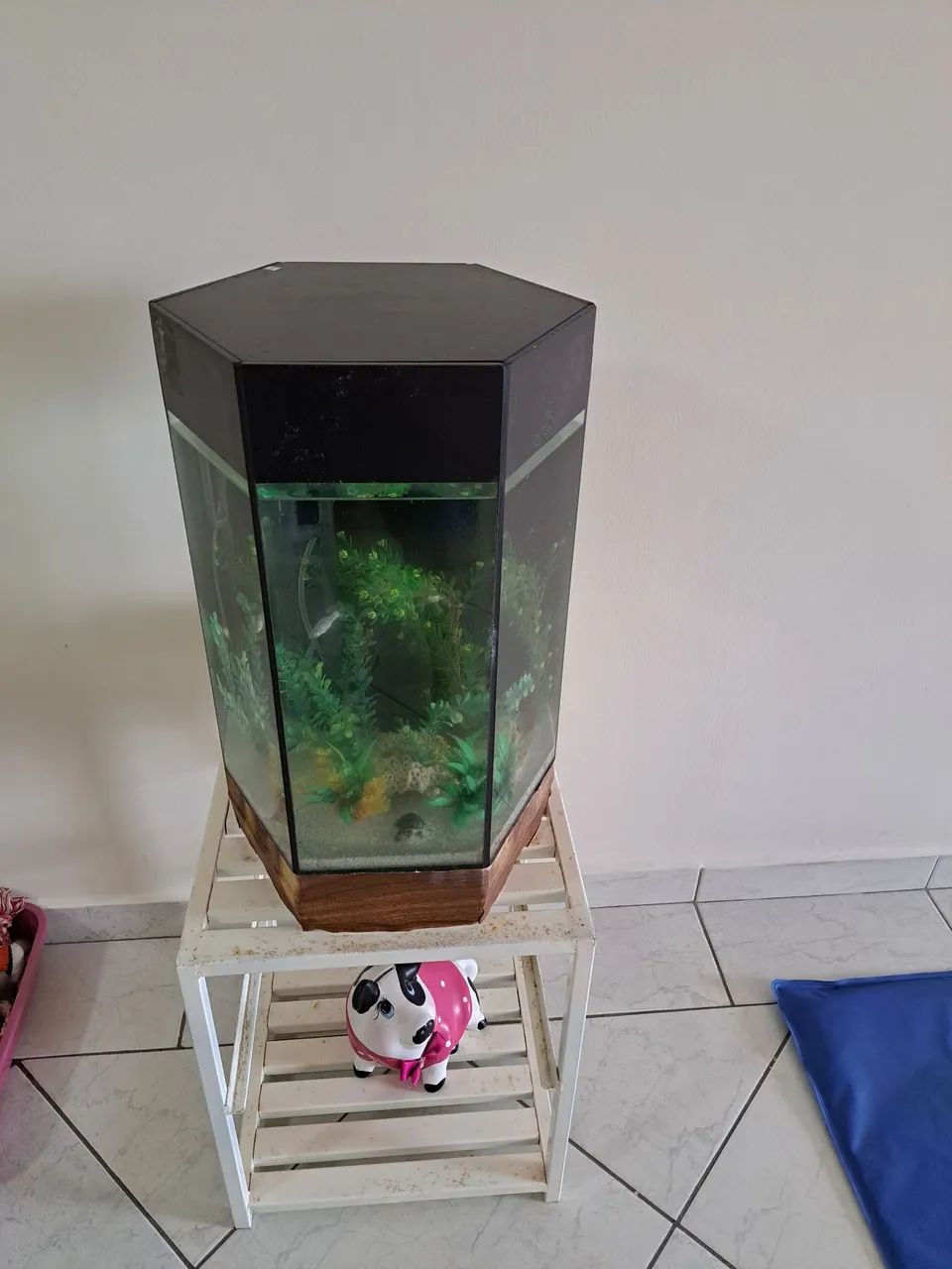 Aquário hexagonal 