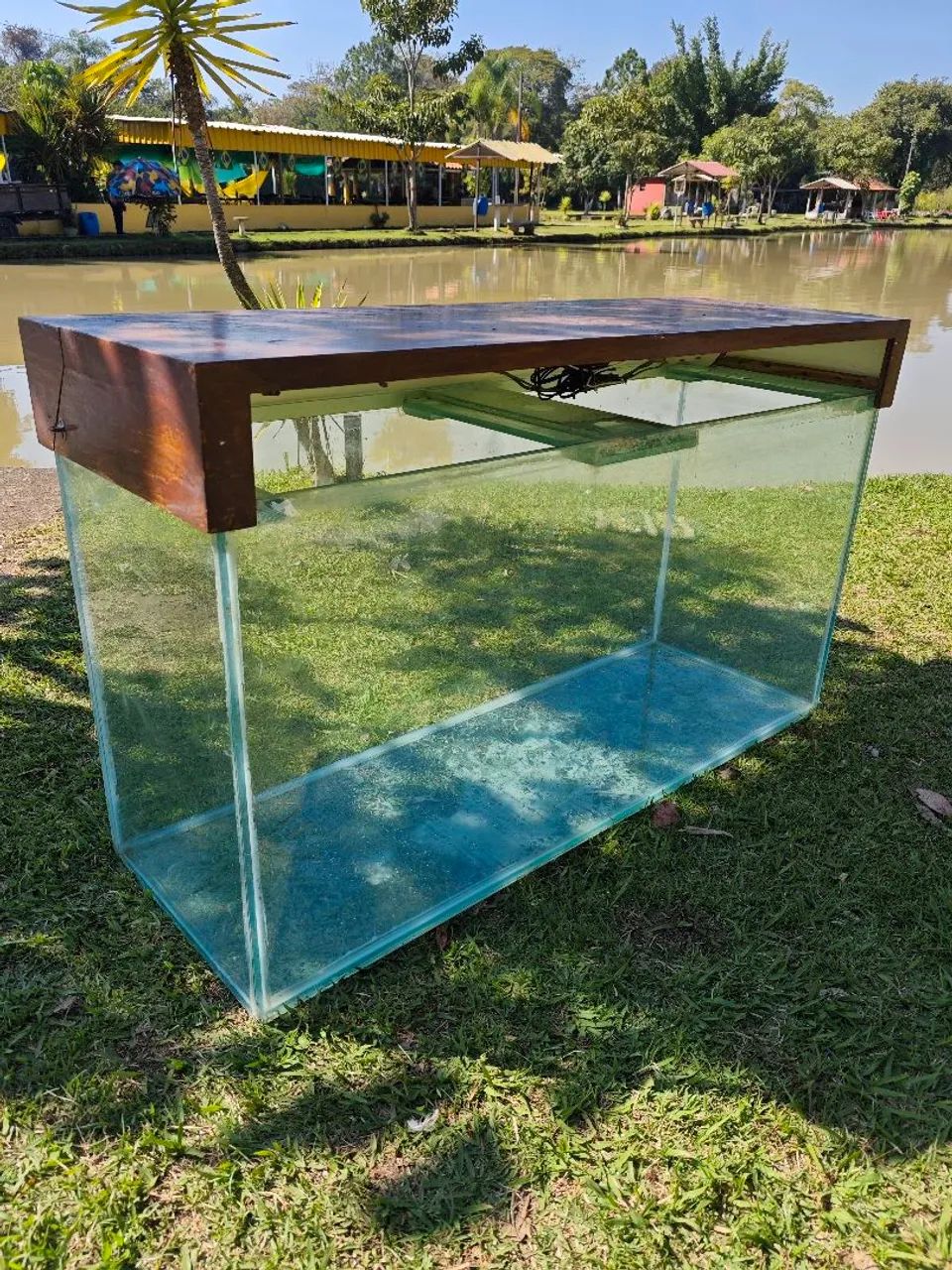 Aquário  - Foto 4