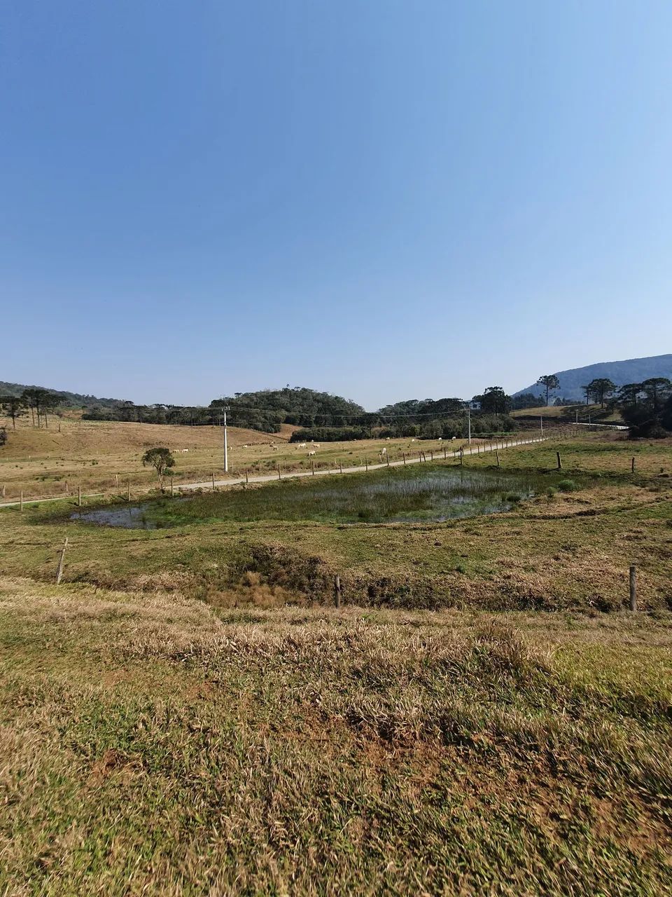Sitio em Rancho Queimado 