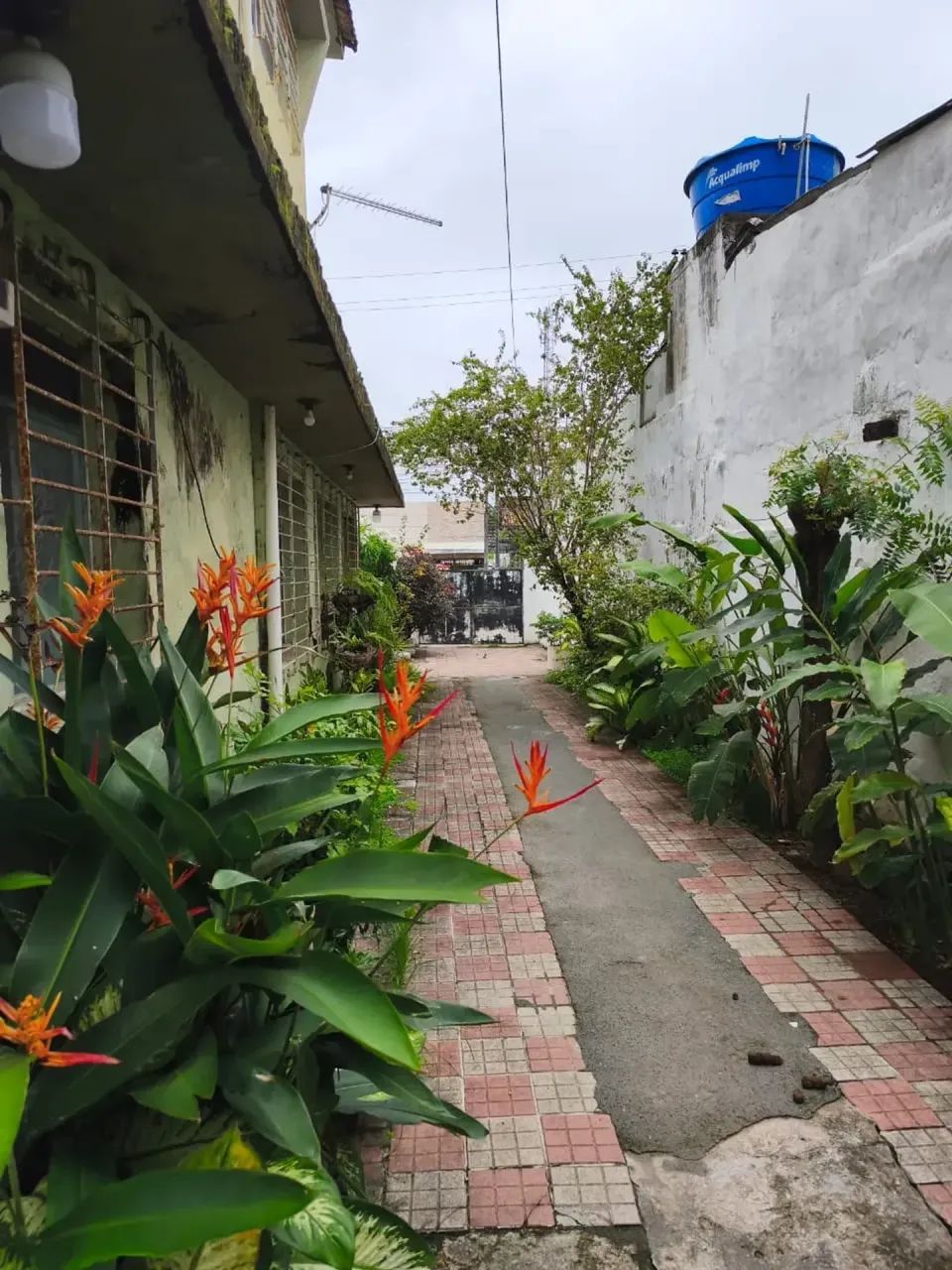 A VENDA TERRENO  - Alto pontecial para edificações ( Terreno ) com 1500 m² - Foto 5