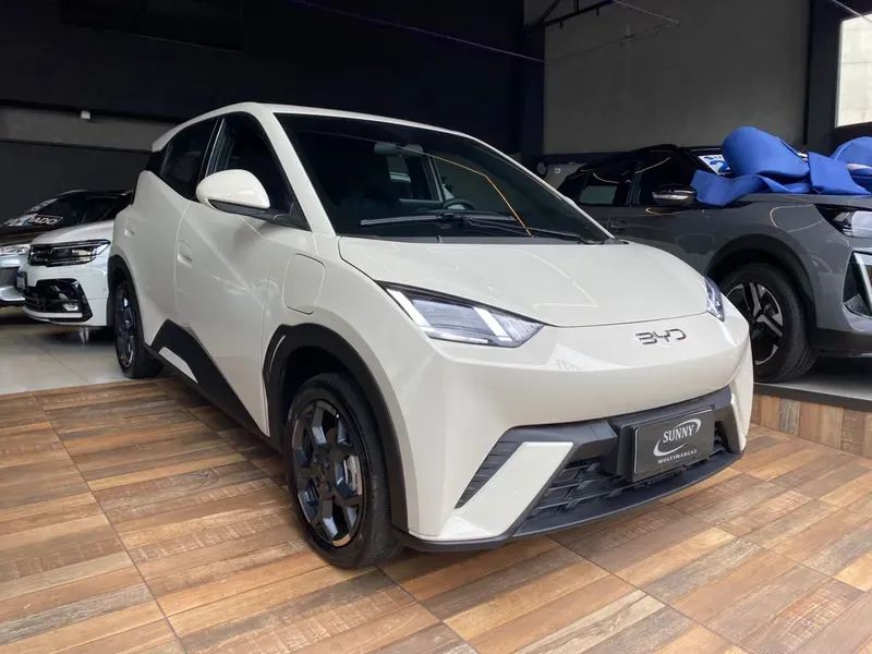 BYD Dolphin Mini GL, foto 6 de 20