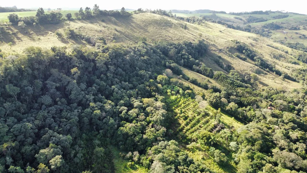 Vende sítio em excelente lugar em são Jerônimo da serra - Foto 4